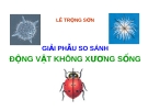 GIẢI PHẪU SO SÁNH  ĐỘNG VẬT KHÔNG XƯƠNG SỐNG _ chương 1