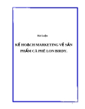 Đề Tài:  KẾ HOẠCH MARKETING VỀ SẢN PHẨM CÀ PHÊ LON BIRDY