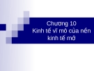 Chương 10 Kinh tế vĩ mô của nền kinh tế mở