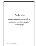  Luận văn: Phân tích tác động của các yếu tố môi trường ngành tác động lên doanh nghiệp