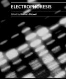 ELECTROPHORESIS