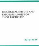BIOLOGICAL EFFECTS AND EXPOSURE LIMITS FOR "HOT PARTICLES"