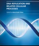 DNA REPLICATION AND RELATED CELLULAR PROCESSES