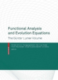 Functional Analysis and Evolution Equations: The Günter Lumer Volume