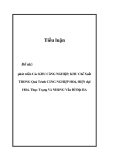 Tiểu luận- phát triển Các KHU CôNG NGHIệP, KHU Chế Xuất TRONG Quá Trình CôNG NGHIệP HOá, HIệN đạI HOá. Thực Trạng Và NHữNG Vấn Đề Đặt RA