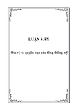 LUẬN VĂN:Địa vị và quyền hạn của tổng thống mỹ 