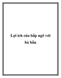 Lợi ích của bắp ngô với bà bầu