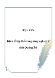 LUẬN VĂN:Kinh tế tập thể trong nông nghiệp ở tỉnh Quảng Trị 