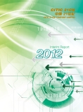 INTERIM REPORT 2012