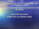 Bài giảng giải phẫu so sánh  động vật có xương sống - PGS.TS. Ngô Đắc Chứng