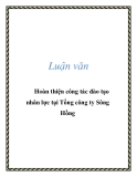 Luận văn: Hoàn thiện công tác đào tạo nhân lực tại Tổng công ty Sông Hồng