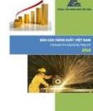 BÁO CÁO NĂNG SUẤT VIỆT NAM Vietnam Productivity Report 2010