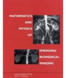 Mathematics and Physics of Emerging Dynamic Biomedical Imaging