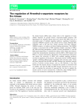 báo cáo khoa hoc : The regulation of N-methyl-D-aspartate receptors by Src kinase