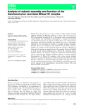 báo cáo khoa hoc : Analysis of subunit assembly and function of the Saccharomyces cerevisiae RNase H2 complex