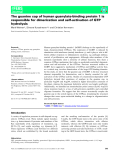 báo cáo khoa hoc : The guanine cap of human guanylate-binding protein 1 is responsible for dimerization and self-activation of GTP hydrolysis