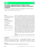 báo cáo khoa hoc : The ‘gating’ residues Ile199 and Tyr326 in human monoamine oxidase B function in substrate and inhibitor recognition