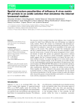 báo cáo khoa hoc : Spatial structure peculiarities of inﬂuenza A virus matrix M1 protein in an acidic solution that simulates the internal lysosomal medium