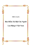 Tiểu luận đề tài: Bảo Hiểm Xã Hội Cho Người Lao Động ở Việt Nam 