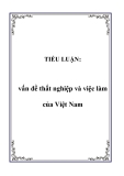 TIỂU LUẬN: Vấn đề thất nghiệp và việc làm của Việt Nam 