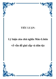 TIỂU LUẬN:  Lý luận của chủ nghĩa Mác-Lênin về vấn đề giai cấp và dân tộc
