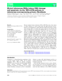 Báo cáo khoa hoc : Mutant telomerase RNAs induce DNA damage and apoptosis via the TRF2-ATM pathway in telomerase-overexpressing primary ﬁbroblasts