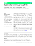 Báo cáo khoa hoc : Novel lynx spider toxin shares common molecular architecture with defense peptides from frog skin