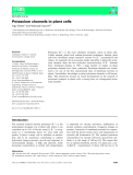 Báo cáo khoa hoc : Potassium channels in plant cells