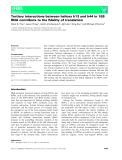 Báo cáo khoa hoc : Tertiary interactions between helices h13 and h44 in 16S RNA contribute to the ﬁdelity of translation