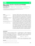 Báo cáo khoa hoc : Role of HoxE subunit in Synechocystis PCC6803 hydrogenase