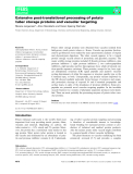 Báo cáo khoa hoc : Extensive post-translational processing of potato tuber storage proteins and vacuolar targeting