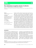 Báo cáo khoa hoc : The carbohydrate recognition domain of collectins