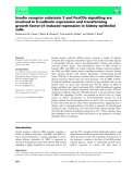 Báo cáo khoa hoc : Insulin receptor substrate 2 and FoxO3a signalling are involved in E-cadherin expression and transforming growth factor-b1-induced repression in kidney epithelial cells