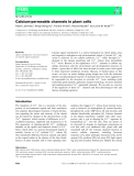 Báo cáo khoa hoc : Calcium-permeable channels in plant cells