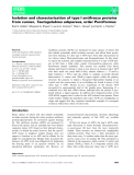 Báo cáo khoa hoc : Isolation and characterization of type I antifreeze proteins from cunner,Tautogolabrus adspersus, order Perciformes