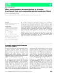 Báo cáo khoa hoc : Mass spectrometric characterization of proteins transferred from polyacrylamide gels to membrane ﬁlters