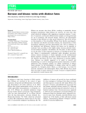 Báo cáo khoa hoc : Barnase and binase: twins with distinct fates