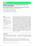 Báo cáo khoa hoc : Membrane interaction of Pasteurella multocida toxin involves sphingomyelin