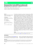 Báo cáo khoa hoc : Structural basis of the inhibition of class C acid phosphatases by adenosine 5¢-phosphorothioate