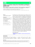 Báo cáo khoa hoc : Cellular vacuolation induced by Clostridium perfringens epsilon-toxin