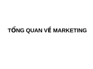 TỔNG QUAN VỀ MARKETING