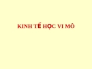 KHÁI QUÁT KINH TẾ HỌC VI MÔ