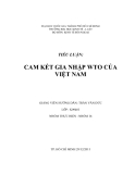 TIỂU LUẬN:  CAM KẾT GIA NHẬP WTO CỦA VIỆT NAM