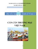 TIỂU LUẬN:CÁN CÂN THƯƠNG MẠI VIỆT NAM