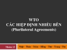 WTO CÁC HIỆP ĐỊNH NHIỀU BÊN