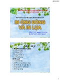 Đề tài:  In ống đồng và  in lụa trong bao bì thực phẩm