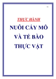 Thực hành nuôi cấy mô và tế bào thực vật