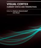 VISUAL CORTEX – CURRENT STATUS AND PERSPECTIVES