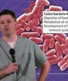 Treatment of Inflammatory Bowel Disease in Childhood: Best Available Evidence