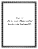 Luận văn tốt nghiệp: Đào tạo nguồn nhân lực dưới đại học cho phát triển công nghiệp